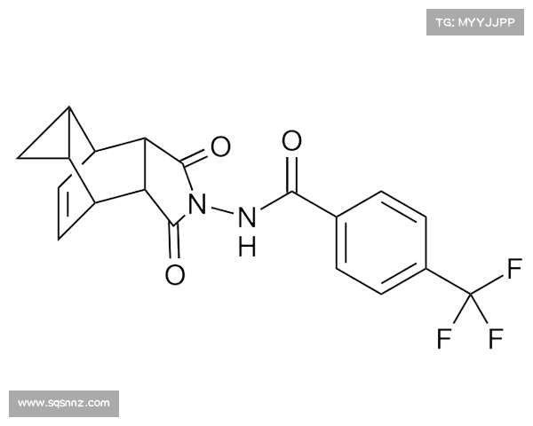 放射物辐射治疗：疗效与安全并重