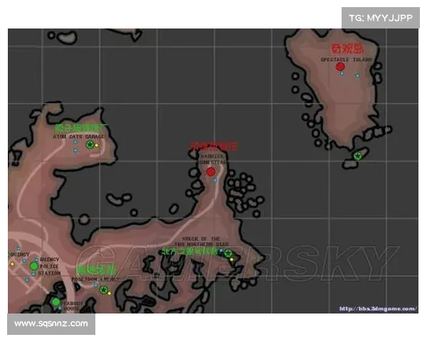 辐射4：如何查看FSAE版本