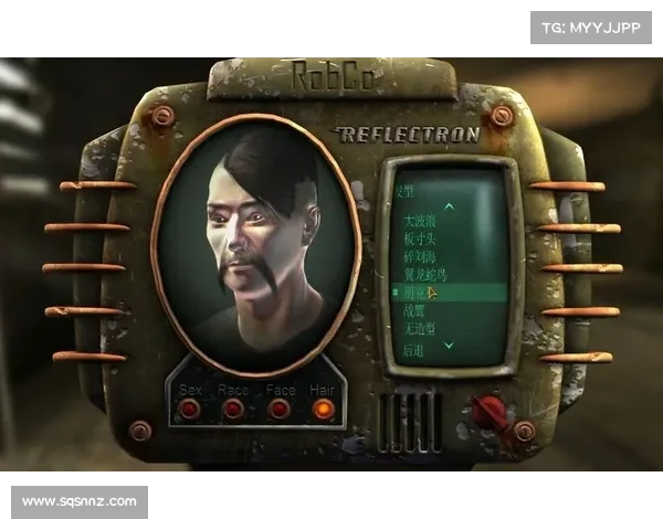 辐射新维加斯：护甲改造革新